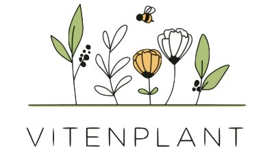 Logo Vitenplant